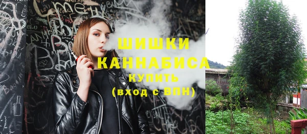 первитин Надым
