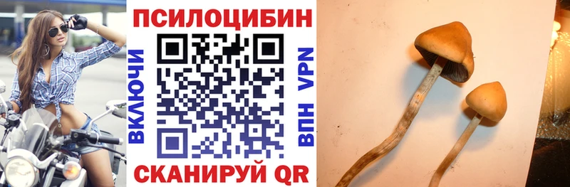 Галлюциногенные грибы Psilocybine cubensis  Купить закладки  Северобайкальск 