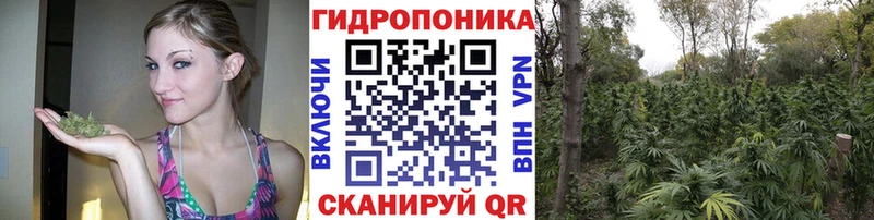 Купить закладки Северобайкальск Бошки Шишки индика